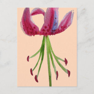 Carte Postale Aquarelle rose Lily art floral moderne