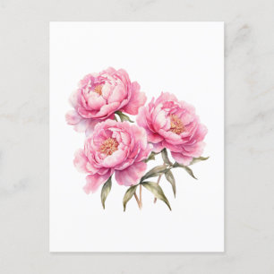 Carte Postale Aquarelle rose pivoine Fleurs