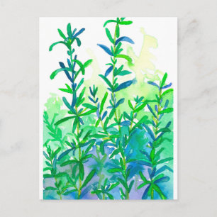 Carte Postale Aquarelle Rosemary Herbe Bleu