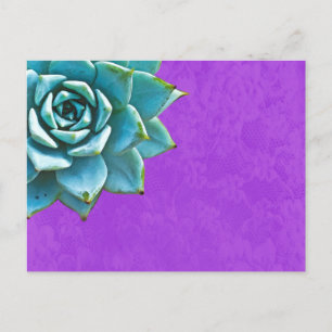 Carte Postale Aquarelle Succulente dentelle pourpre