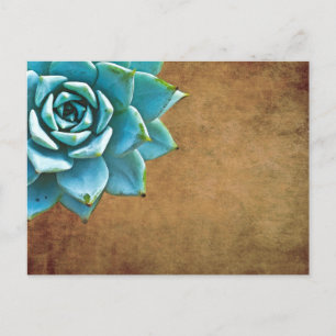 Carte Postale Aquarelle Succulente Rustique Brown