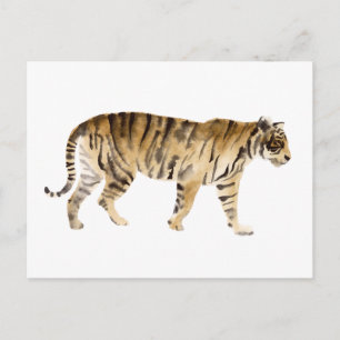 Carte Postale Aquarelle Tigre Marcher