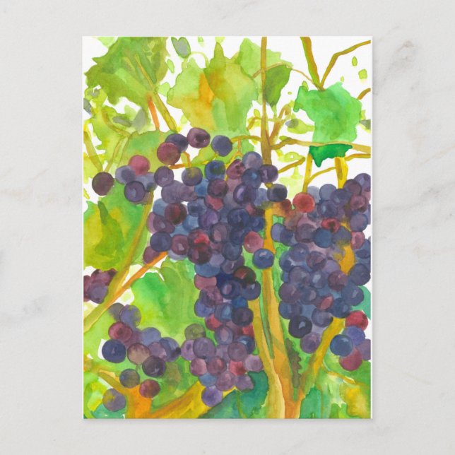 Carte Postale Aquarelle Vin de la peinture (Devant)