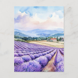 Carte Postale Aquarelles champs de lavande sereins