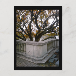 Carte Postale aquarium de shedd :: automne