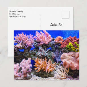 Carte Postale Aquarium d'eau salée - Coral Reef