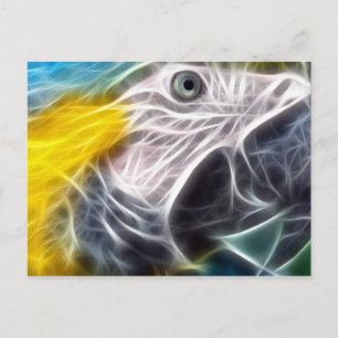 Carte Postale Ara de bleu et d'or