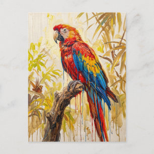Carte Postale Ara Écarlate Tropical Vibrant