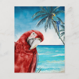 Carte Postale Ara Rouge Perruche Aquarelle Tropicale