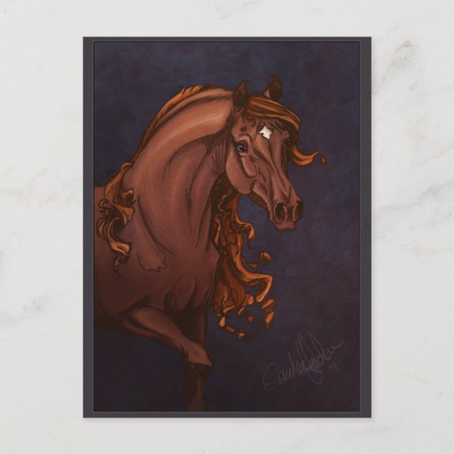 Carte postale Arabian Horse (Devant)
