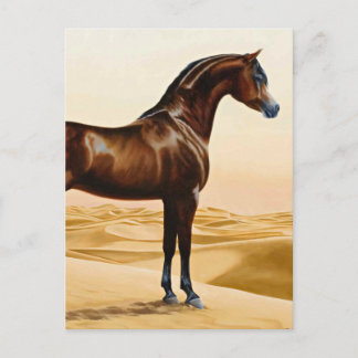 Carte Postale Arabian Horse - William Barraud