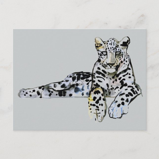 Carte Postale Arabian Leopard 2008 7 (Devant)