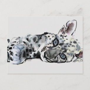 Carte Postale Arabian Leopard Cub 2008