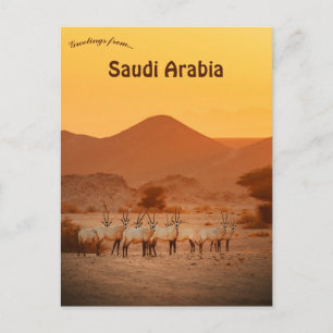 Carte Postale Arabie saoudite Oryx Neom