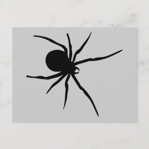 Carte Postale Araignée Insectes Araignées Arachnida Black Art An