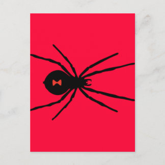Carte Postale Araignée noire