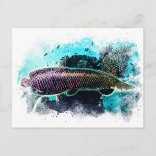 Carte Postale Arapaima Monster Poisson Aquarelle Pirarucu Paiche