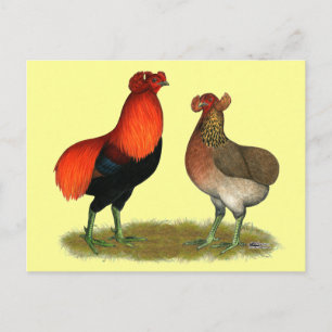 Carte Postale Araucana Red Pair