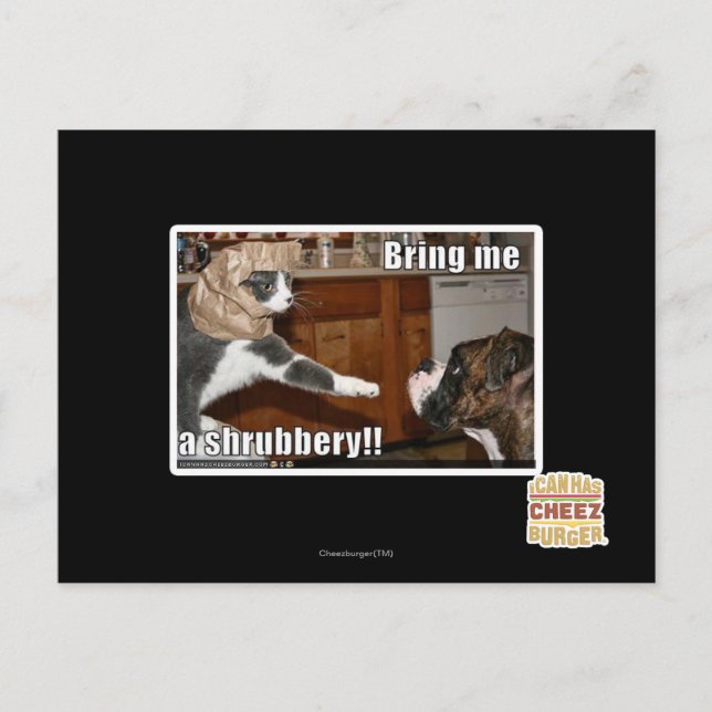 Carte Postale Arbre (Devant)