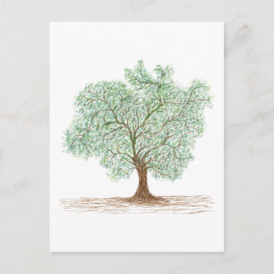 Carte Postale arbre