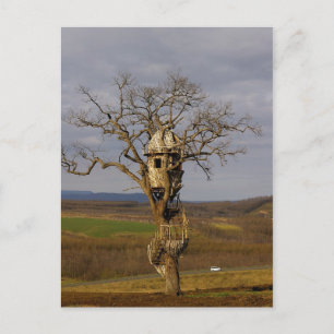 Carte Postale Arbre