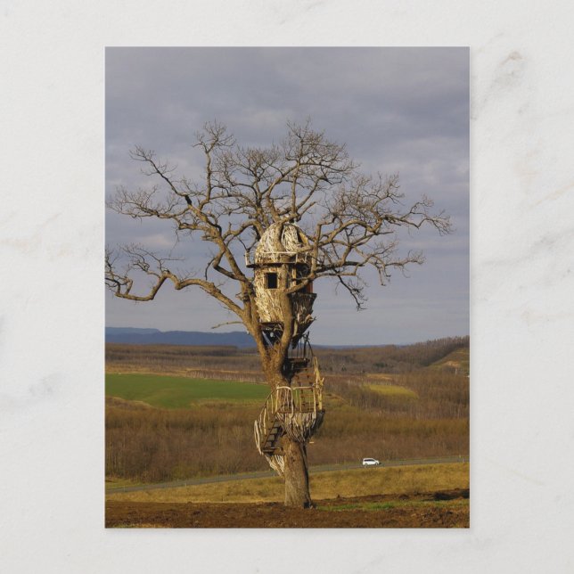 Carte Postale Arbre (Devant)