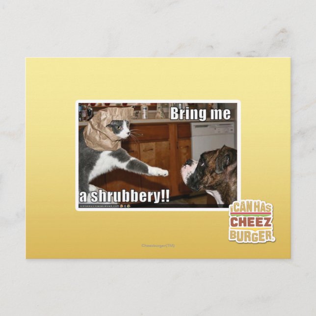 Carte Postale Arbre (Devant)