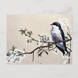 Carte Postale Arbre