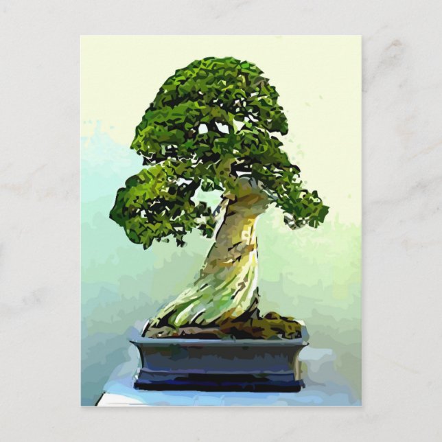 Carte Postale Arbre à cyprès de Bonsai (Devant)