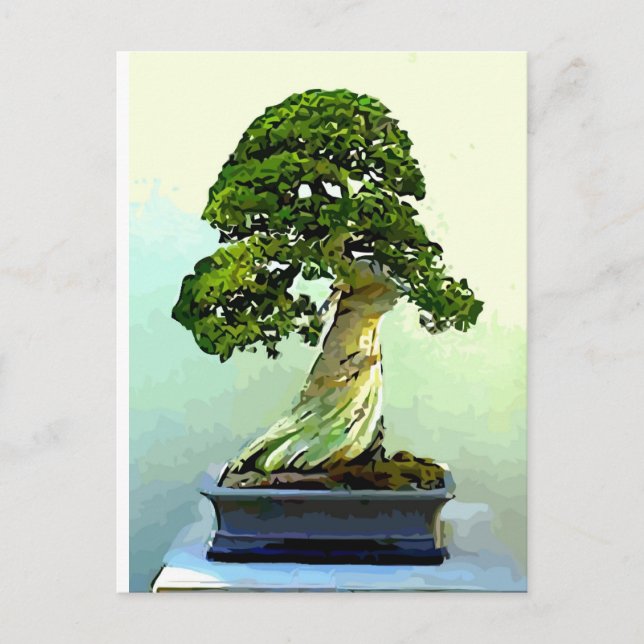 Carte Postale Arbre à cyprès de Bonsai (Devant)