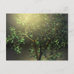 Carte Postale Arbre à érable japonais 3D