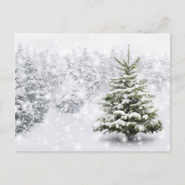 Carte Postale Arbre À Fir En Neige Épaisse (Devant)