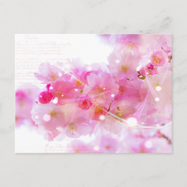 Carte Postale Arbre à fleurs cerisier japonais avec fleurs paste (Devant)