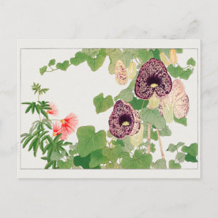 Carte Postale Arbre à poudre, fleur calicot par Tanigami Konan