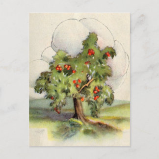 Carte Postale Arbre Apple vintage