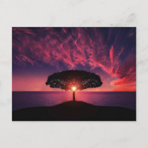 Carte Postale Arbre au coucher du soleil