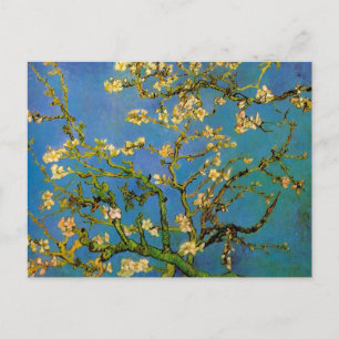 Carte Postale Arbre aux amandes en fleurs par Vincent van Gogh
