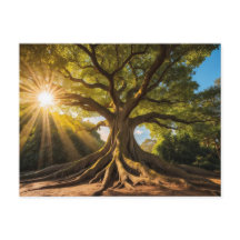 Arbre aux rayons du soleil