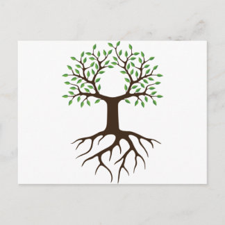 Carte Postale arbre avec racines
