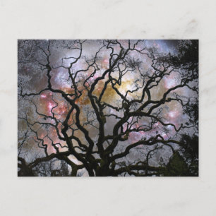 Carte Postale Arbre cosmique - Galaxies en collision