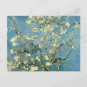 Carte Postale Arbre d'amande en fleurs par Van Gogh