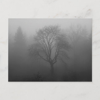 Carte Postale Arbre dans le brouillard