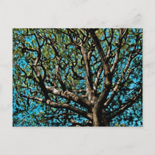 Carte Postale Arbre de chêne