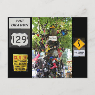 Carte Postale Arbre de la honte