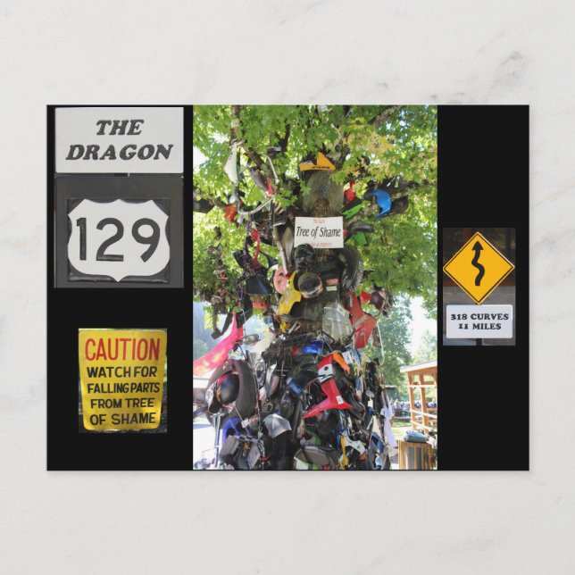 Carte Postale Arbre de la honte (Devant)