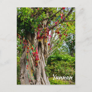 Carte Postale Arbre de l'amour, Zhonghe - Yunnan, Chine