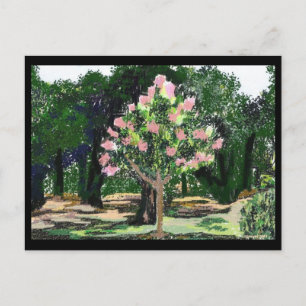 Carte Postale Arbre de myrte de crêpe