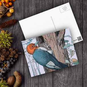 Carte Postale Arbre de Pic à tête rouge vintage