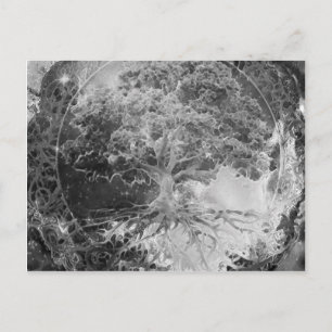 Carte Postale Arbre de santé en noir et blanc