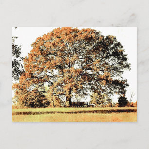 Carte Postale Arbre de vie